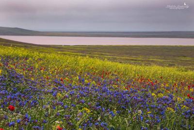 Прикрепленное изображение: IMG_4503.jpg